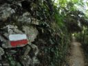 The “Great Path” that climbs to the Sanctuary of Montenero (photo by Mary Addari)